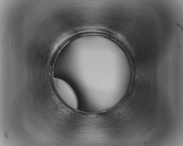 X0000101671360200807101039