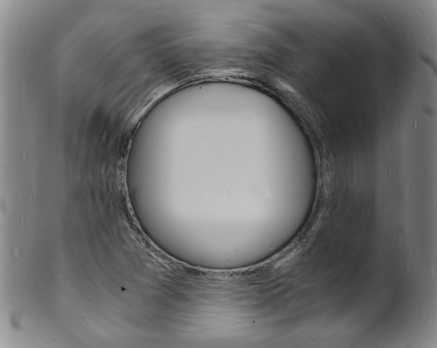 X0000101671361200807101039