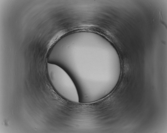 X0000101671362200807101039