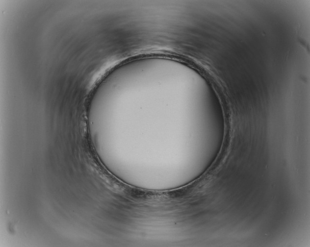 X0000101671363200807101039