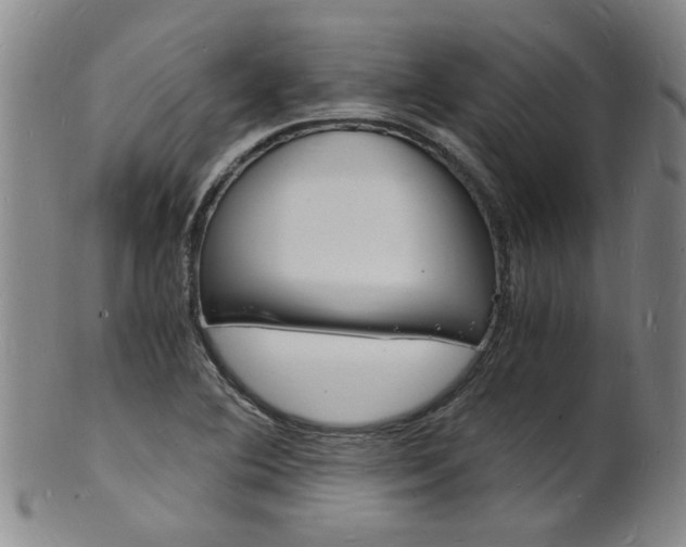 X0000101671364200807101039