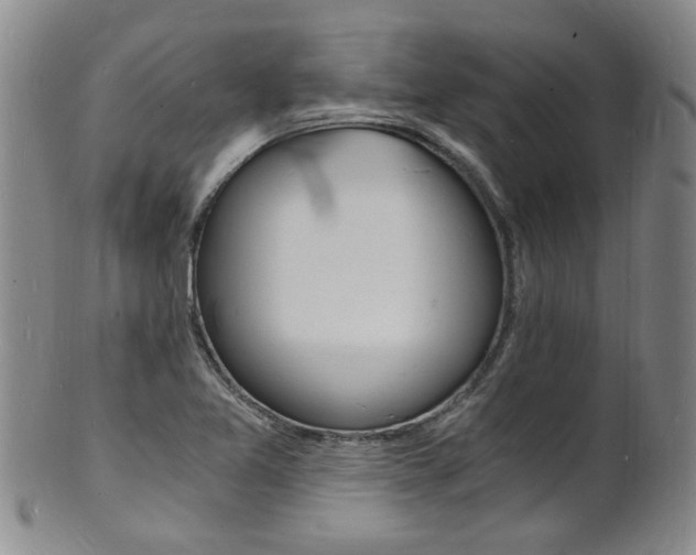 X0000101671365200807101039