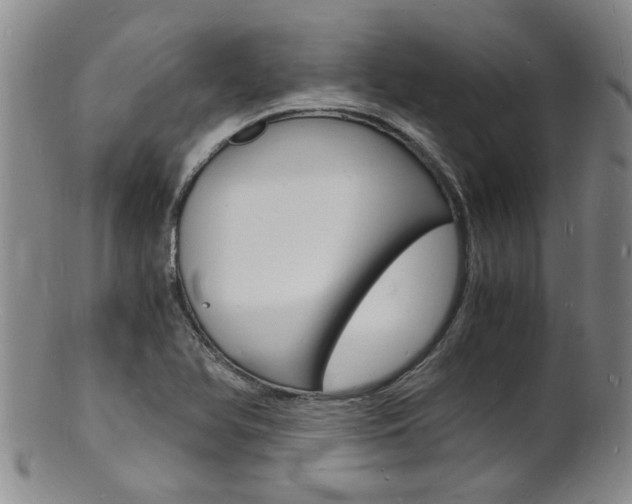 X0000101671366200807101039