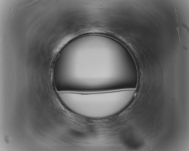 X0000101671367200807101039