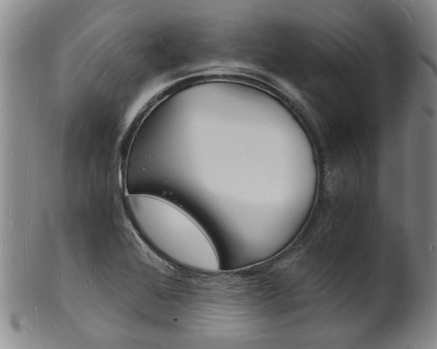X0000101671368200807101039