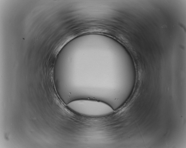 X0000101671369200807101039