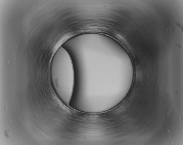 X0000101671370200807101039