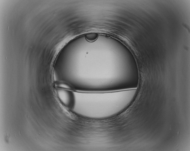 X0000101671371200807101039