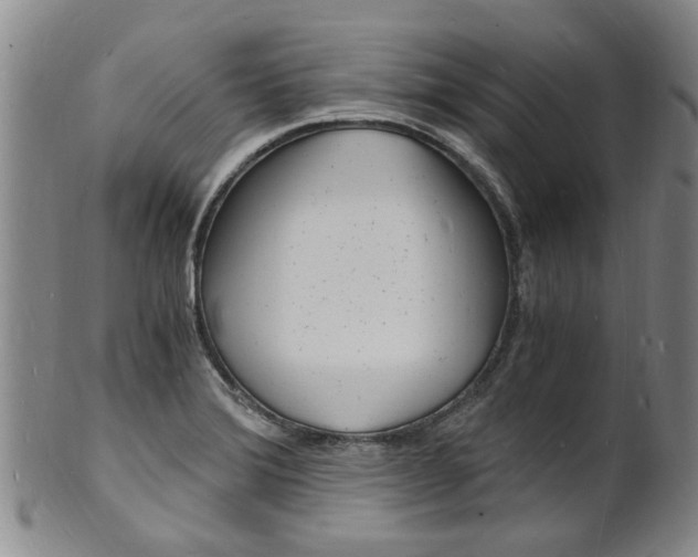 X0000101671372200807101039