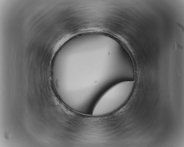 X0000101671373200807101039
