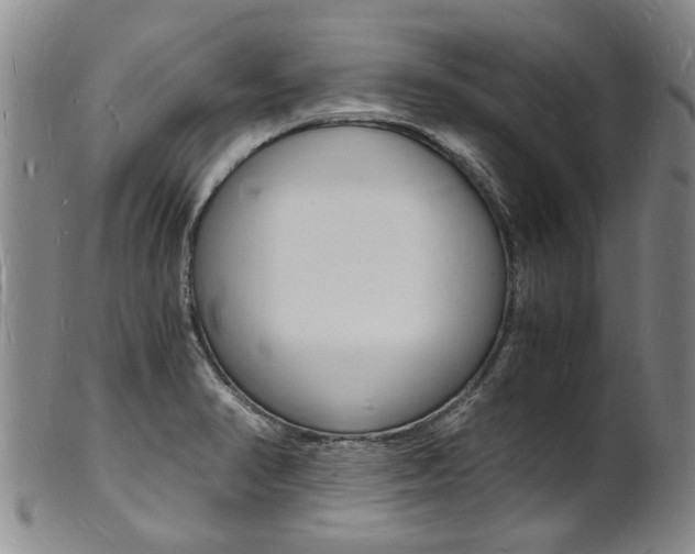 X0000101671374200807101039