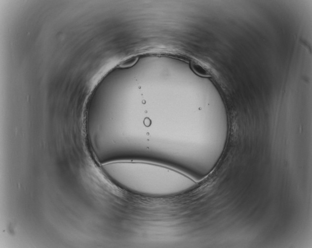 X0000101671375200807101039