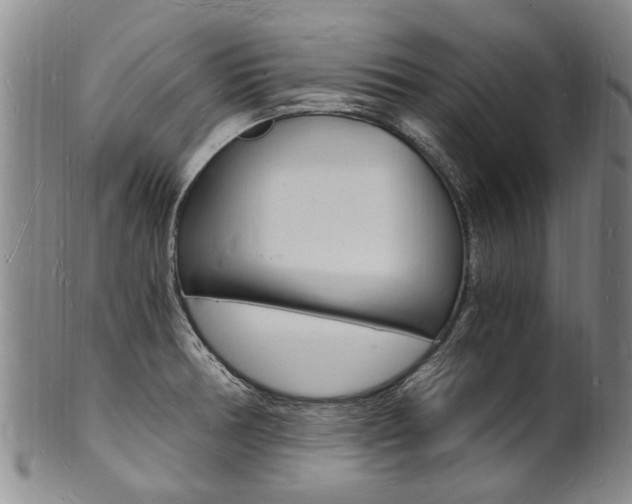 X0000101671378200807101039