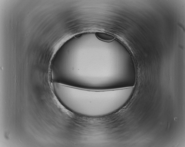 X0000101671379200807101039