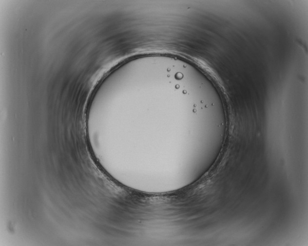 X0000101671380200807101039