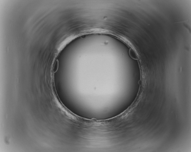 X0000101671381200807101039