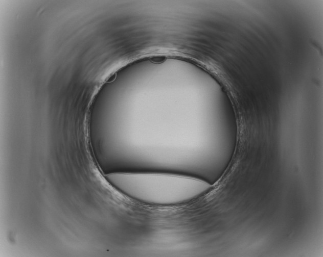 X0000101671382200807101039