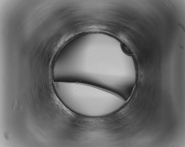 X0000101671384200807101039