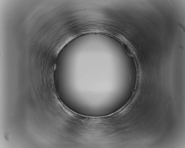 X0000101671385200807101039