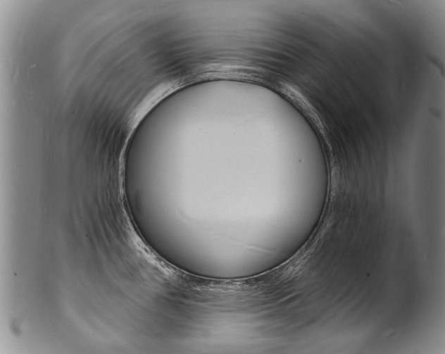 X0000101671386200807101039