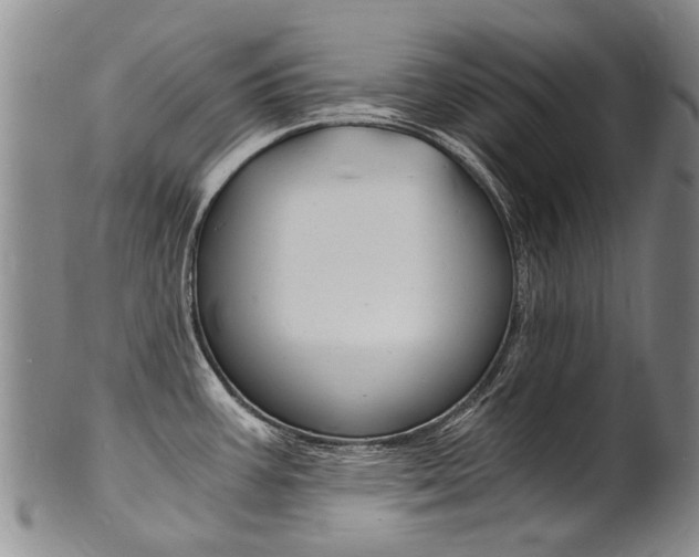 X0000101671387200807101039