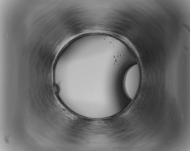 X0000101671388200807101039