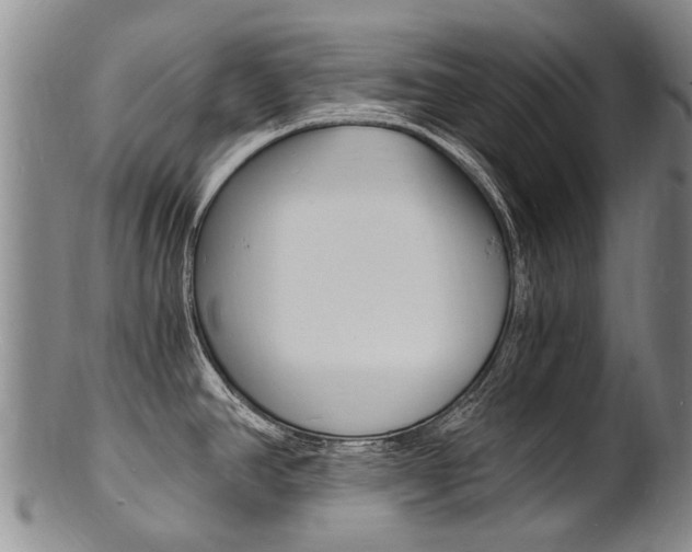 X0000101671390200807101039