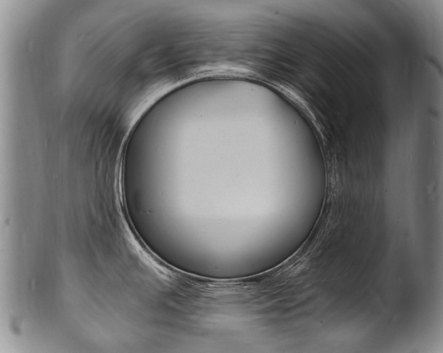 X0000101671391200807101039