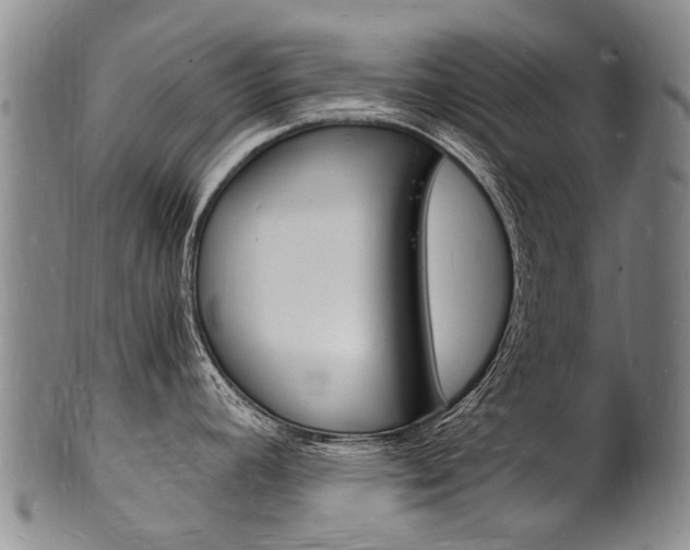 X0000101671392200807101039