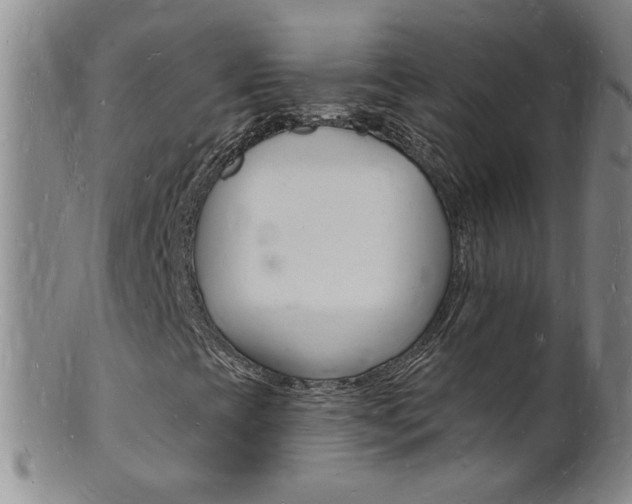 X0000101671393200807101038