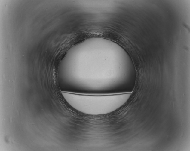 X0000101671394200807101038