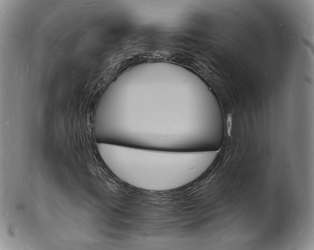 X0000101671395200807101038