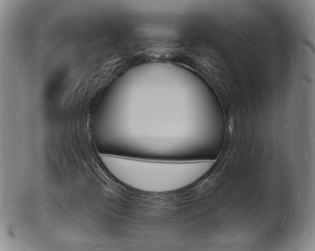 X0000101671396200807101038