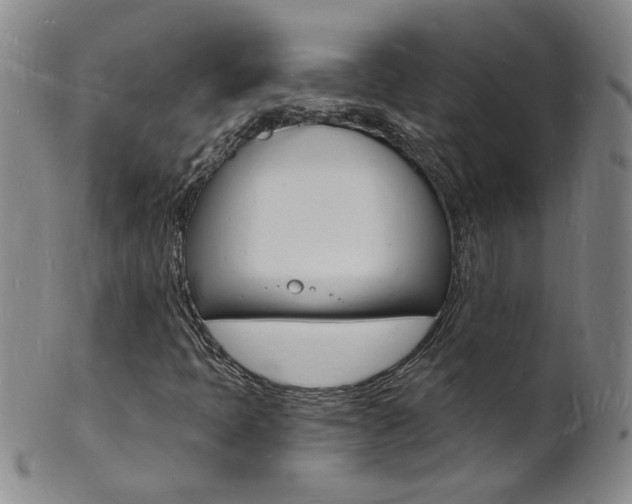 X0000101671397200807101038