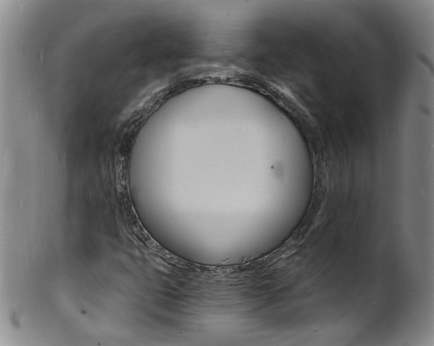 X0000101671399200807101038