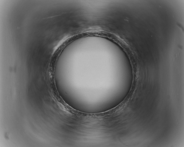 X0000101671400200807101038