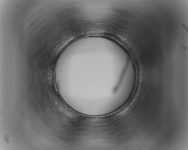 X0000101671401200807101038