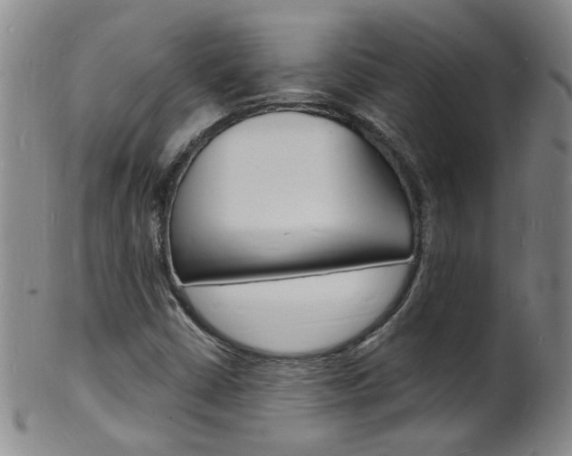 X0000101671402200807101038
