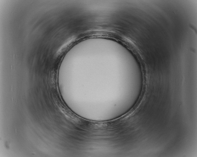 X0000101671403200807101038