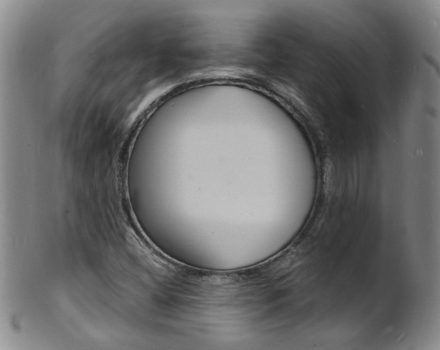 X0000101671404200807101038