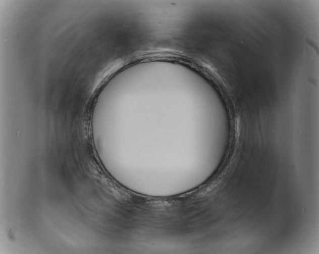 X0000101671405200807101038