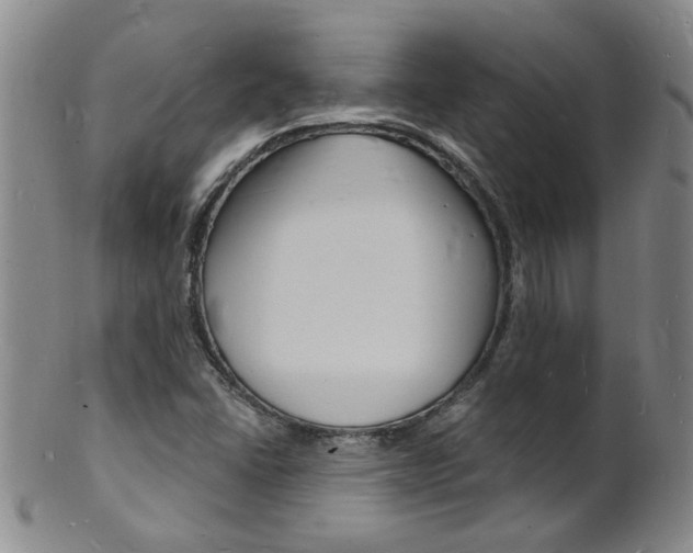 X0000101671406200807101038