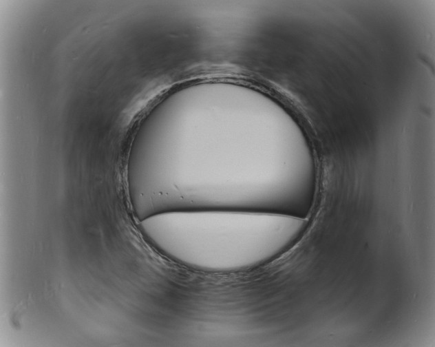 X0000101671407200807101038