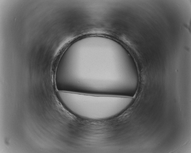 X0000101671408200807101038