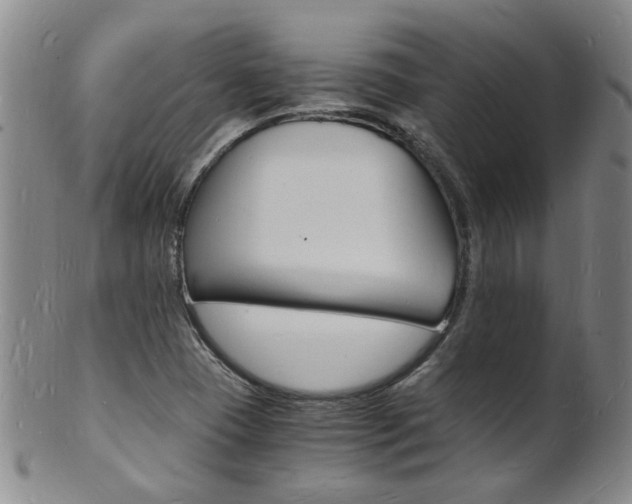 X0000101671409200807101038