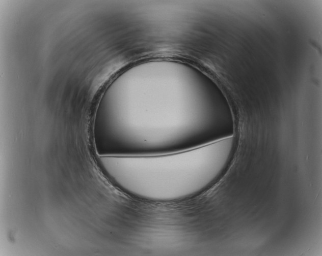 X0000101671410200807101038