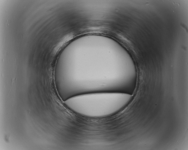 X0000101671411200807101038