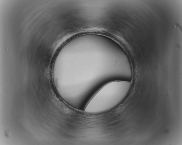 X0000101671412200807101038