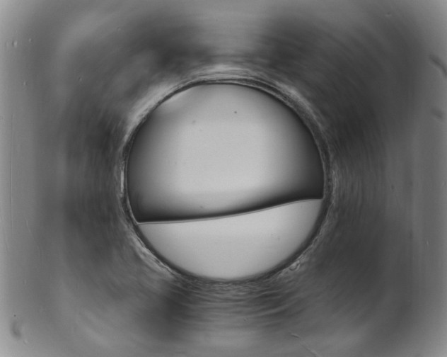 X0000101671413200807101038