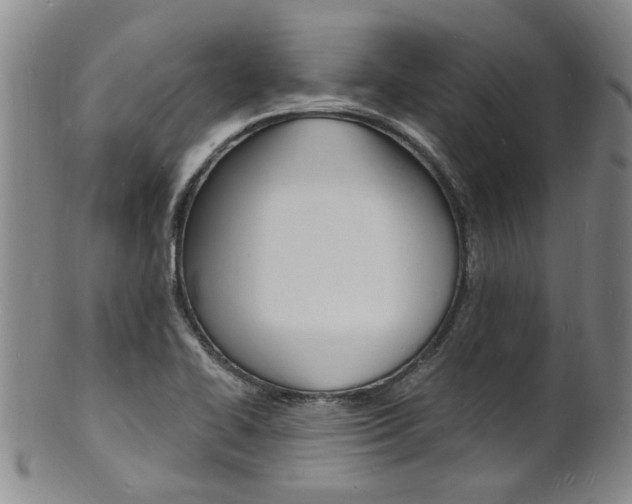 X0000101671414200807101038